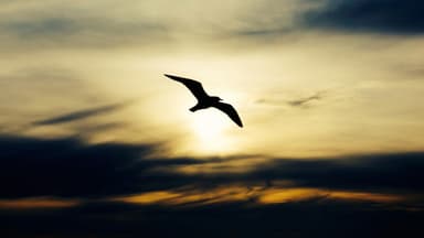 ‘But God’: Two Words That Can Change Your Life